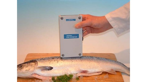 Mål fettinnhold i levende fisk, fisk og kjøttprodukter