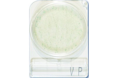 CompactDry Vibrio