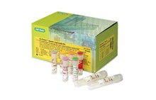 Legionella spp. Quanti | iQ-Check PCR kit