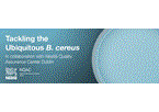 Gratis webinar om Bacillus Cereus | 2. og 3. februar