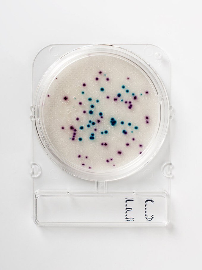 compact-dry-ec-for-måling-av-e.-coli-og-koliforme-bakterier