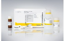 RidaQuick T-2 / HT-2  | Mykotoksinanalyse