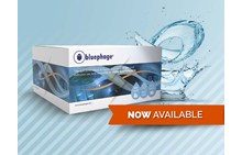 Bluephage Rapid | Kolifager i vann
