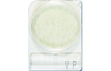 Compact Dry VP | Vibrio