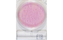 Compact Dry ETB | Enterobacteriaceae