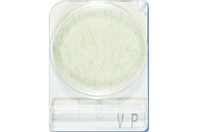 compactdry-vibrio