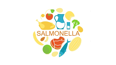 Salmonella | Anbefalinger og instrukser